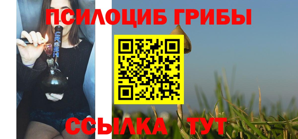 сколько стоит  Галлюциногенные грибы MAGIC MUSHROOMS  Вход с VPN  Муравленко 